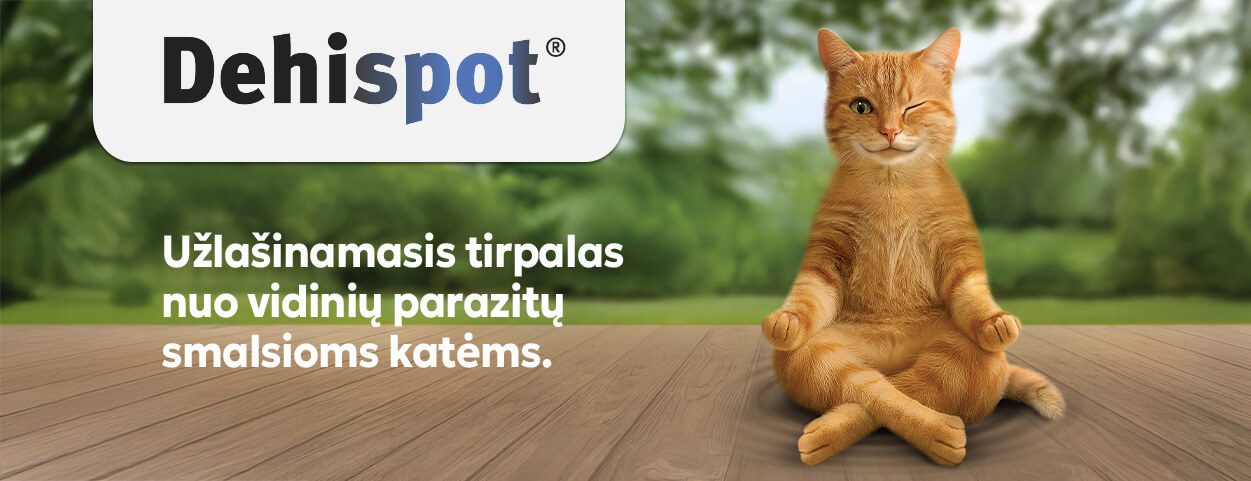 Dehispot